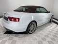 Audi S5 3.0 TFSI Stronic quattro Cabriolet°Navi°ACC Weiß - thumbnail 6