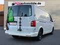 Volkswagen T6 2.0 TDI 4Motion KA LR lang  JAGDAUTO mit Seilwi Weiß - thumbnail 5