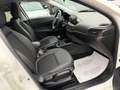 Fiat Tipo 1.6 M.JET 120 cv. 5 porte S DESIGN Bianco - thumbnail 15