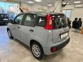Fiat Panda 1.2 Easy s Grigio - thumbnail 4