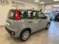 Fiat Panda 1.2 Easy s Grigio - thumbnail 6