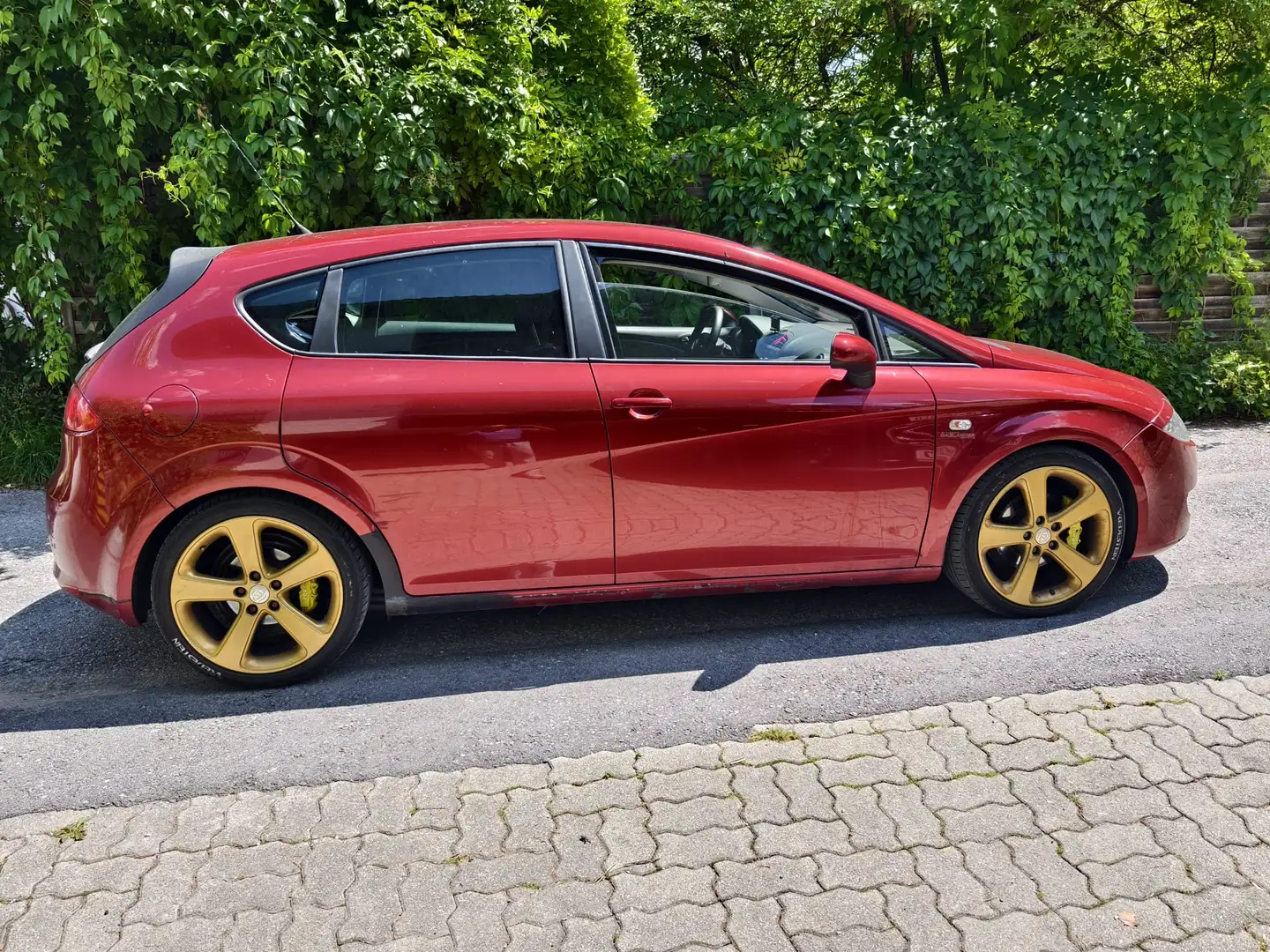 SEAT Leon Leon 1,9 Last Edition TDI Last Edition Rot - 1