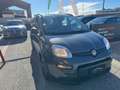 Fiat Panda Panda 1.0 firefly hybrid City Life Grigio - thumbnail 3