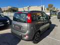 Fiat Panda Panda 1.0 firefly hybrid City Life Grigio - thumbnail 4
