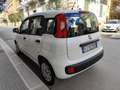 Fiat Panda 1.2 BENZINA 69CV 5 POSTI Bianco - thumbnail 7