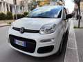 Fiat Panda 1.2 BENZINA 69CV 5 POSTI Bianco - thumbnail 5