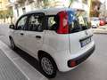 Fiat Panda 1.2 BENZINA 69CV 5 POSTI Bianco - thumbnail 10