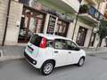 Fiat Panda 1.2 BENZINA 69CV 5 POSTI Bianco - thumbnail 8