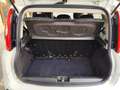 Fiat Panda 1.2 BENZINA 69CV 5 POSTI Bianco - thumbnail 13