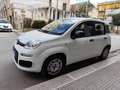 Fiat Panda 1.2 BENZINA 69CV 5 POSTI Bianco - thumbnail 4