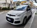 Fiat Panda 1.2 BENZINA 69CV 5 POSTI Bianco - thumbnail 3