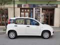 Fiat Panda 1.2 BENZINA 69CV 5 POSTI Bianco - thumbnail 11