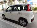 Fiat Panda 1.2 BENZINA 69CV 5 POSTI Bianco - thumbnail 6
