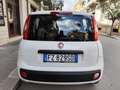 Fiat Panda 1.2 BENZINA 69CV 5 POSTI Bianco - thumbnail 9