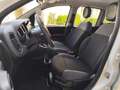 Fiat Panda 1.2 BENZINA 69CV 5 POSTI Bianco - thumbnail 15