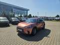 Lexus LBX 1.5 Hybrid Basis FWD Komfort-Paket, Kamera Rot - thumbnail 19