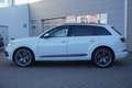Audi Q7 3.0 TDI quattro S line Sport Head-Up Bose AHK Blanc - thumbnail 9
