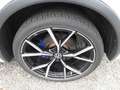 Volkswagen Tiguan R *AKRAPOVIC* Pano AHK HUD LM21 AHK Pano Weiß - thumbnail 6