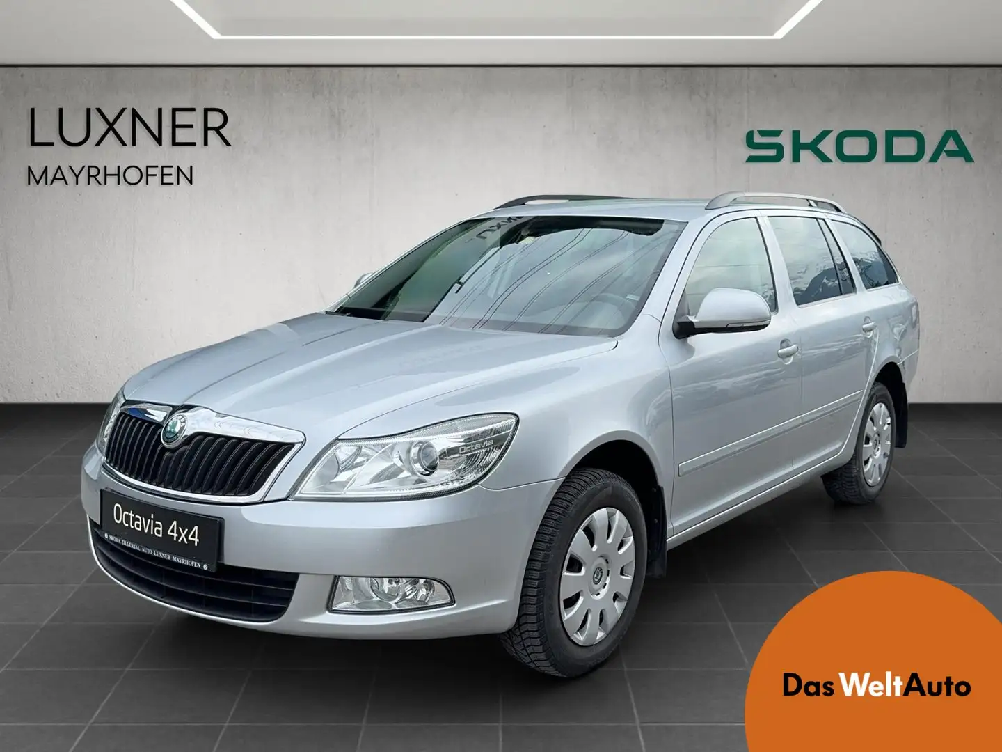 Skoda Octavia 4x4 Ambition TDI Zilver - 1