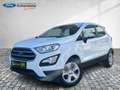 Ford EcoSport Cool & Connect Navi App Lenkr./Sitzheiz Weiß - thumbnail 26
