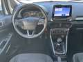 Ford EcoSport Cool & Connect Navi App Lenkr./Sitzheiz Weiß - thumbnail 17