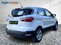 Ford EcoSport Cool & Connect Navi App Lenkr./Sitzheiz Weiß - thumbnail 18