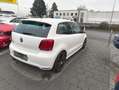 Volkswagen Polo V GTI *Einzelstück* Blanc - thumbnail 3