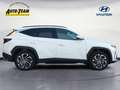 Hyundai TUCSON 1.6 T-GDi HEV 4WD Prime (NX4e) Weiß - thumbnail 5