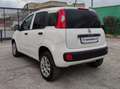 Fiat New Panda VAN 900CC NATURAL POWER 2 POSTI POP - 2020 Wit - thumbnail 5