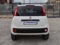 Fiat New Panda VAN 900CC NATURAL POWER 2 POSTI POP - 2020 Wit - thumbnail 4