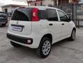 Fiat New Panda VAN 900CC NATURAL POWER 2 POSTI POP - 2020 Wit - thumbnail 3