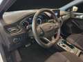 Ford Focus ST-Line | B&O | TechPack II | ACC Weiß - thumbnail 10