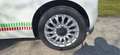 Fiat 500C 500C ECO 1,2 69 Lounge Lounge Weiß - thumbnail 12