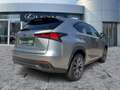 Lexus NX 300 h F Sport Pano*HUD*Navi*4xSHZ*BearLock Zilver - thumbnail 7
