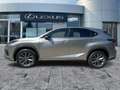 Lexus NX 300 h F Sport Pano*HUD*Navi*4xSHZ*BearLock Zilver - thumbnail 4