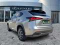 Lexus NX 300 h F Sport Pano*HUD*Navi*4xSHZ*BearLock Zilver - thumbnail 6