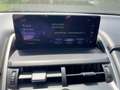 Lexus NX 300 h F Sport Pano*HUD*Navi*4xSHZ*BearLock Silber - thumbnail 15