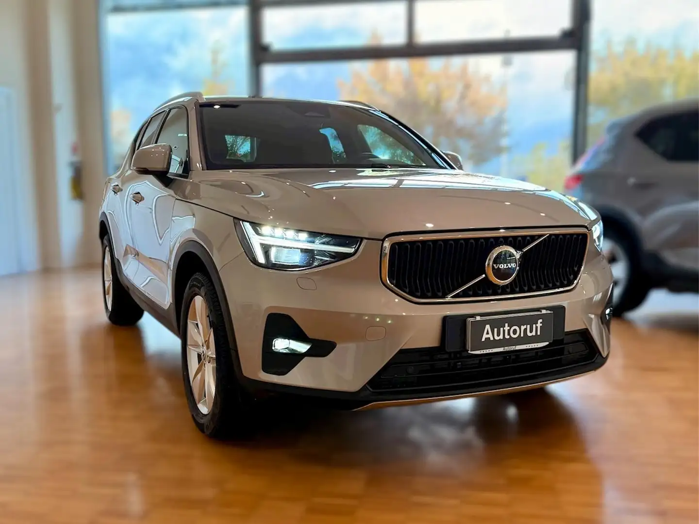 Volvo XC40 2.0 b3 Core 2025 Grigio - 1