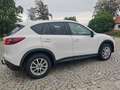 Mazda CX-5 CD175 AWD Revolution SD Aut. Weiß - thumbnail 9