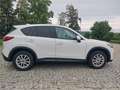Mazda CX-5 CD175 AWD Revolution SD Aut. Weiß - thumbnail 8