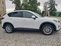 Mazda CX-5 CD175 AWD Revolution SD Aut. Weiß - thumbnail 7