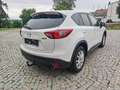 Mazda CX-5 CD175 AWD Revolution SD Aut. Weiß - thumbnail 11