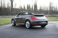 Volkswagen New Beetle Cabrio 70's /Leder/18"/zetelverw./Fender audio Marrón - thumbnail 12