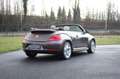 Volkswagen New Beetle Cabrio 70's /Leder/18"/zetelverw./Fender audio Marrón - thumbnail 8
