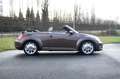 Volkswagen New Beetle Cabrio 70's /Leder/18"/zetelverw./Fender audio Marrón - thumbnail 6