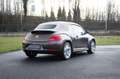 Volkswagen New Beetle Cabrio 70's /Leder/18"/zetelverw./Fender audio Marrón - thumbnail 9