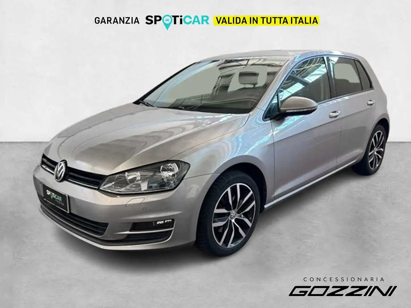 Volkswagen Golf 1.6 TDI 110 CV 5p. Comfortline BlueMotion Gris - 1