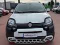Fiat Panda Panda III 2021 Cross 1.0 firefly hybrid Cross s Bianco - thumbnail 2