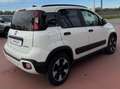 Fiat Panda Panda III 2021 Cross 1.0 firefly hybrid Cross s Bianco - thumbnail 4
