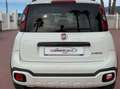 Fiat Panda Panda III 2021 Cross 1.0 firefly hybrid Cross s Bianco - thumbnail 5